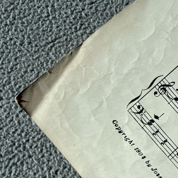 I Live in Lazyland Sheet Music 1905 Jos. Morris Try This on Your Piano Musician - Picture 5 of 6